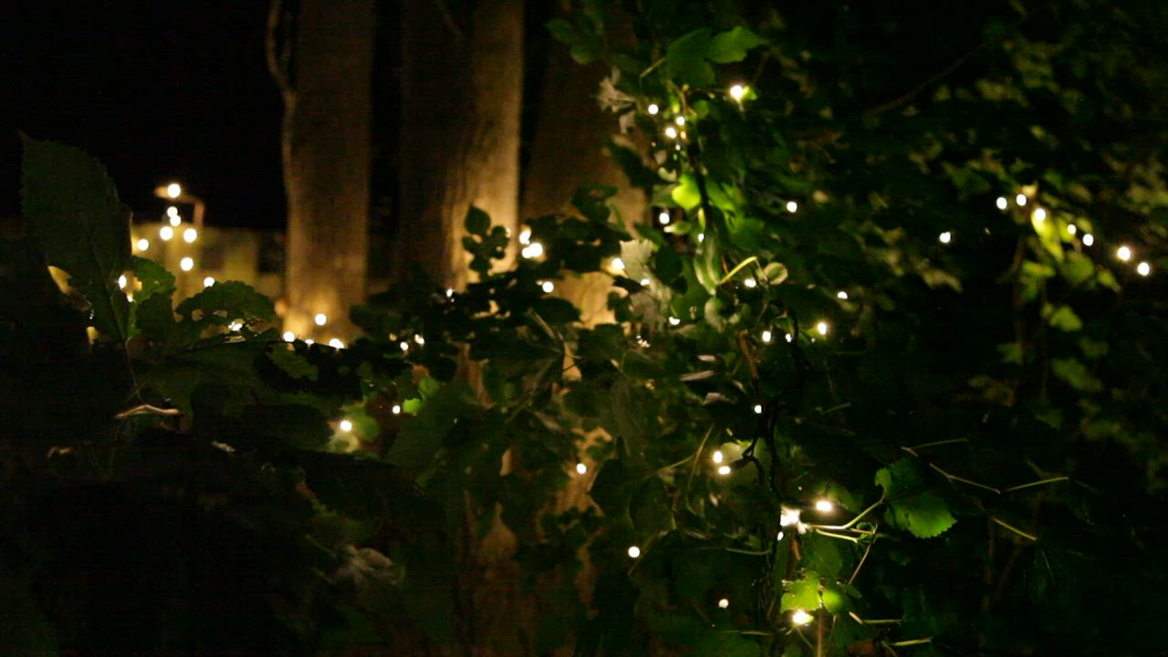 Christmas Light Clips & Hangers